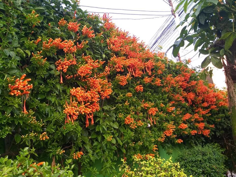 Baan Bua Homestay Chiang Rai Exterior foto